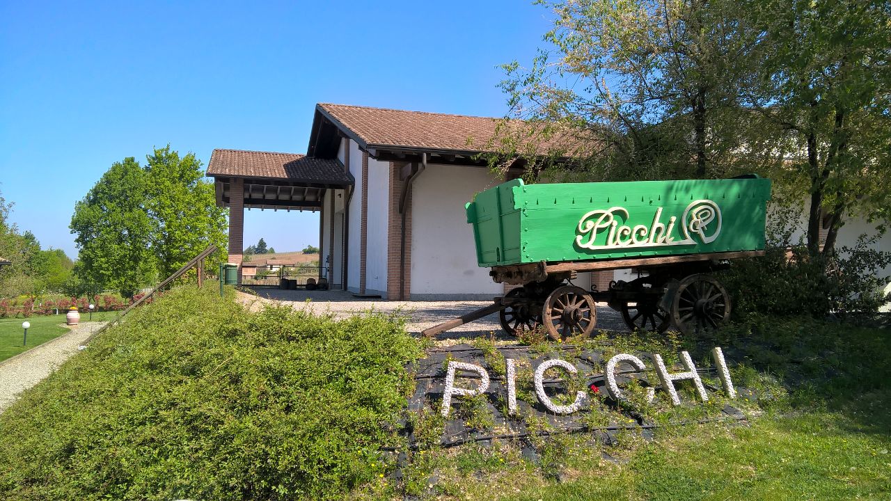 I vigneti dell'azienda Picchi