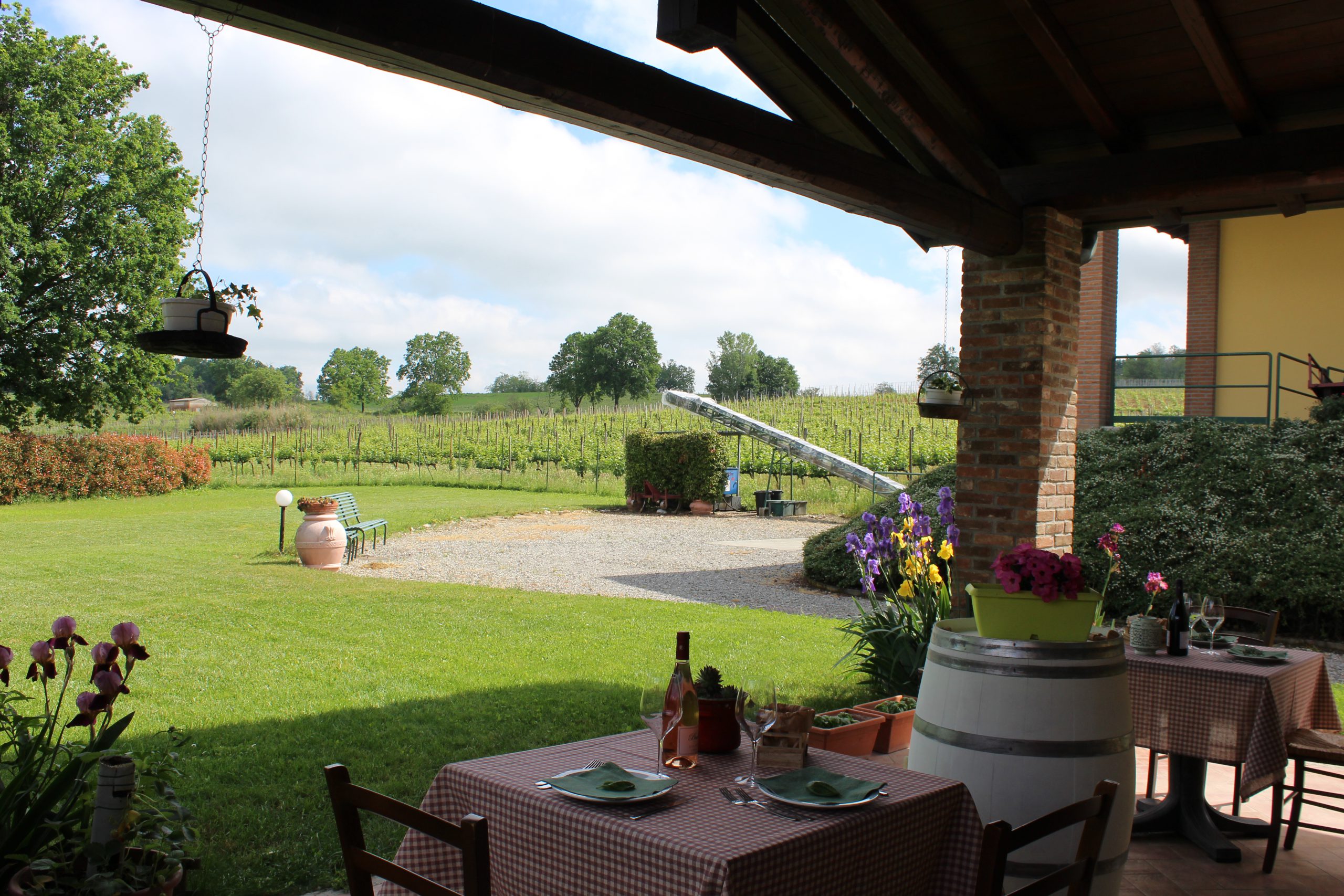 Degustazione in cantina
