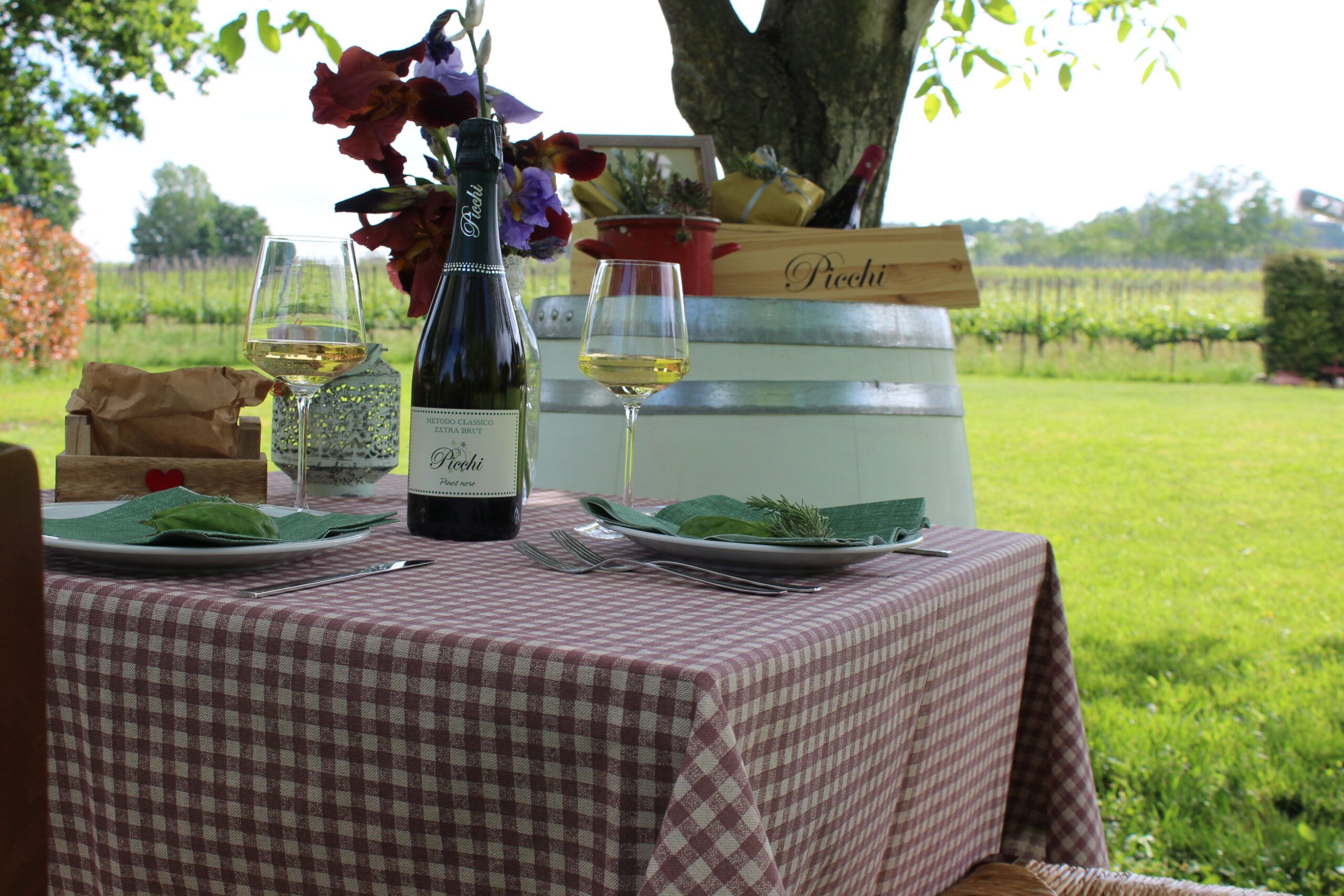 Degustazione in cantina